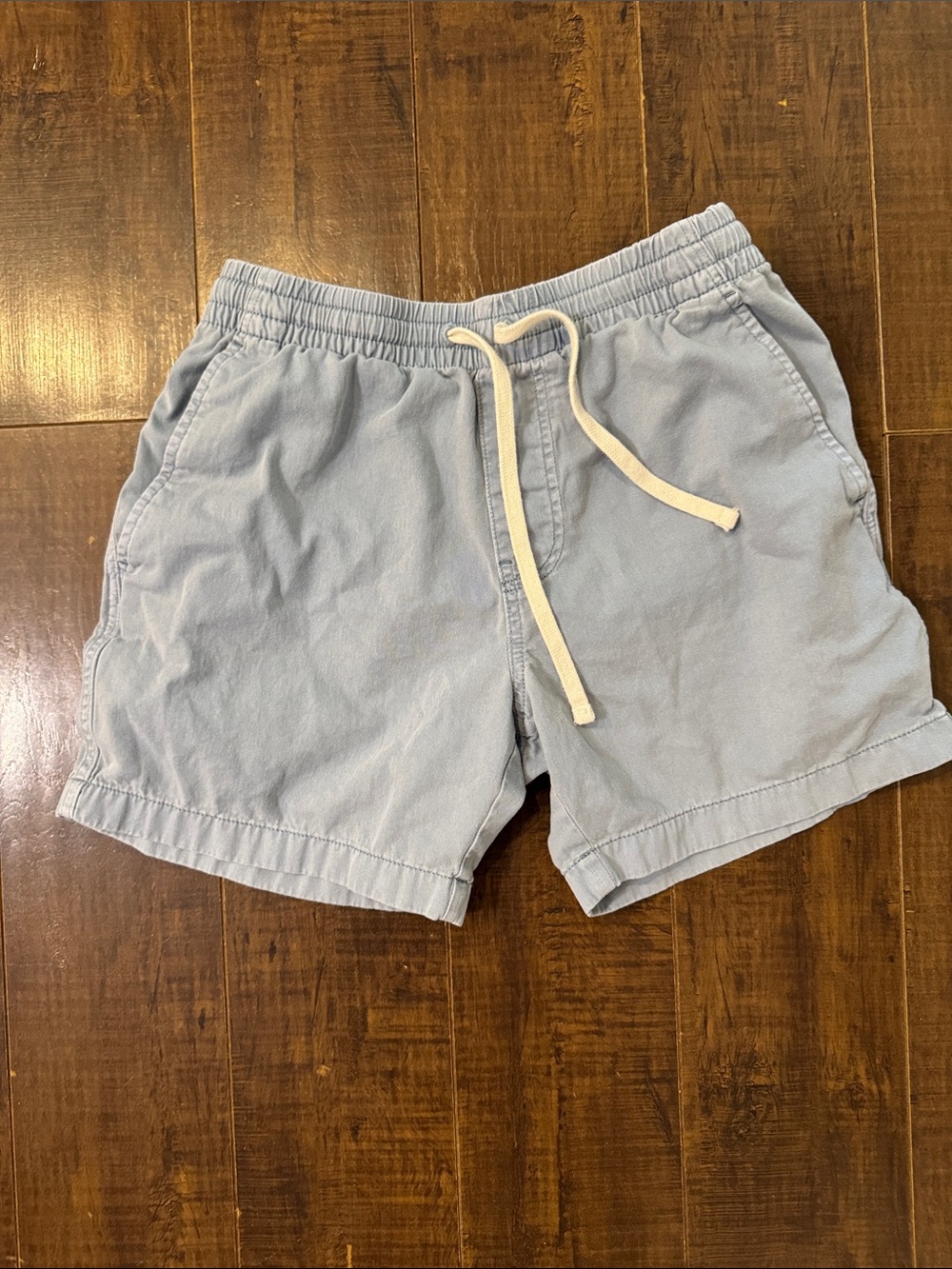 J. Crew Light Blue Drawstring Flat Front Men's Shorts